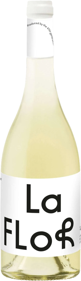 Bodega La Flor de Pulenta, Sauvignon Blanc, 2023