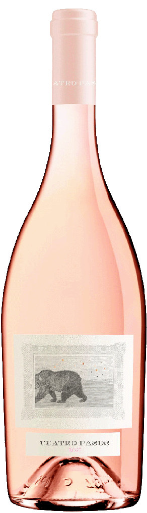 Cuatro Pasos, Rose, 2024