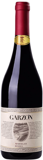 [193843] Bodega Garzon, Reserva Marselan, 2023